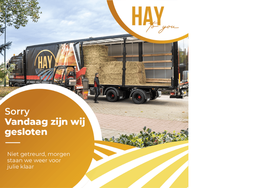 Social media voor Hay to You