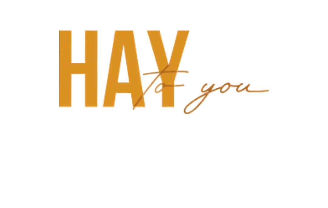 haylogoweb (1)